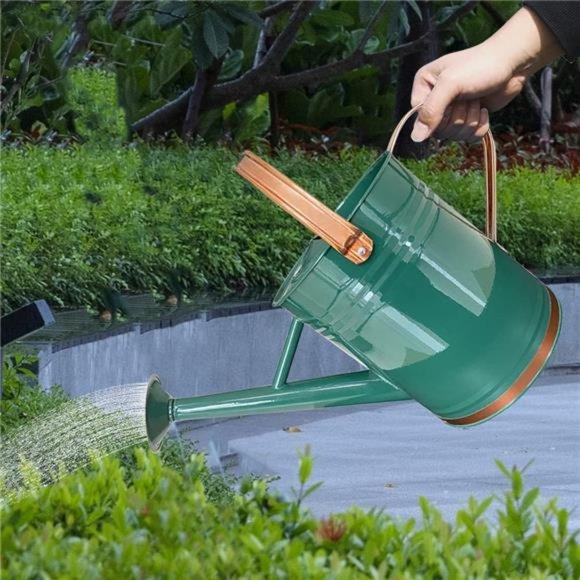 Metal Watering Can for Outdoor and Indoor Plants, 1 Gallon - Summer Gardening - Picture 7 of 8